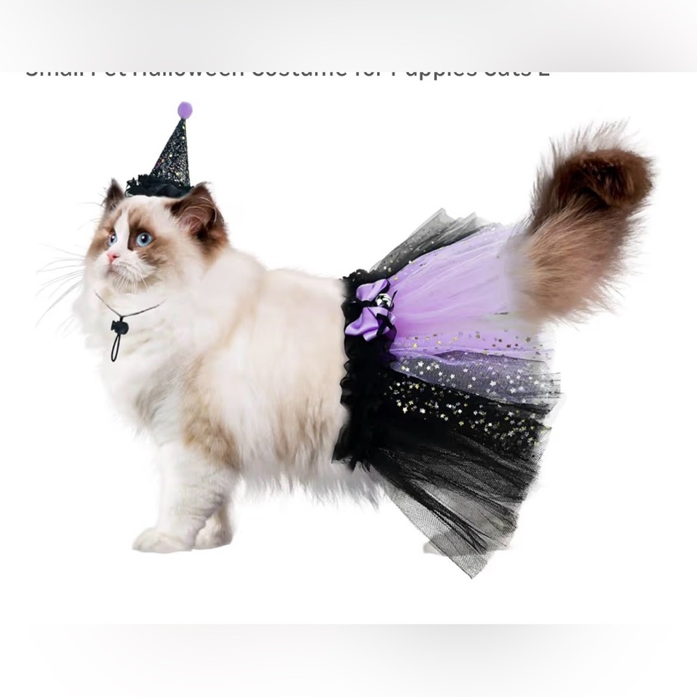 Witch Costume for Cat Kitten, size Medium ,Witch's Hat & Black Tutu Skirt